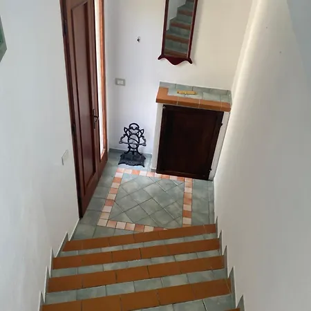 Anna Apartment